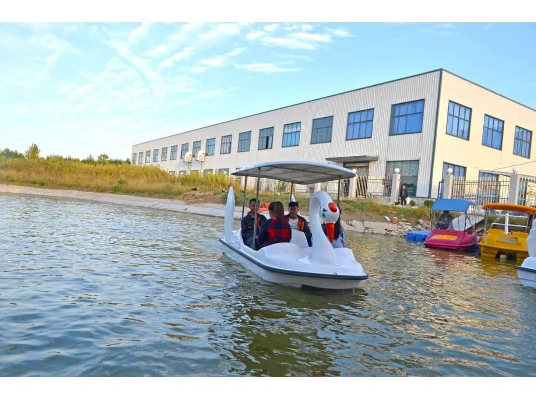 Swan Boat